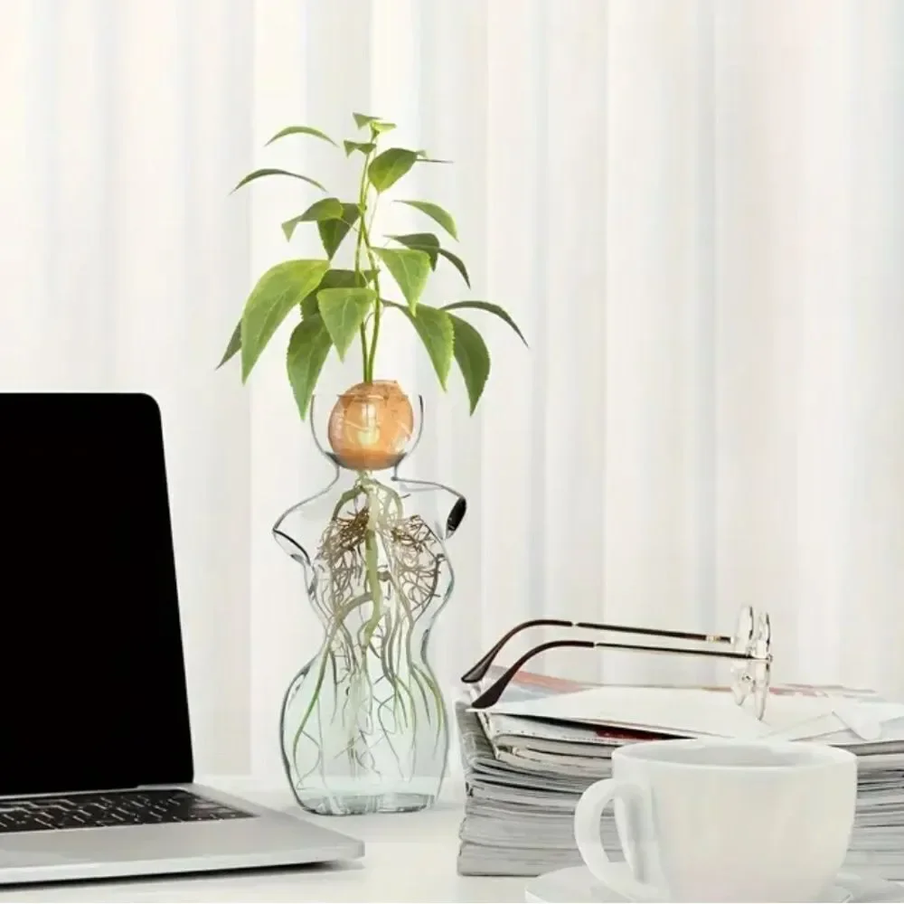 Elegant Glass Vase with Green Plant